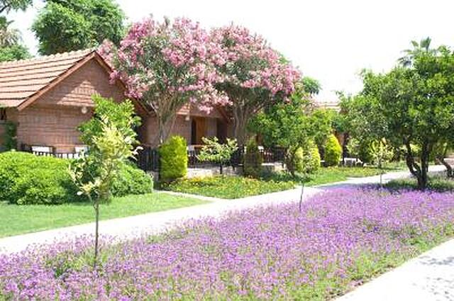 کان گاردن بیچ
