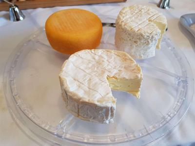 بریت هتل اوکس ساکرز