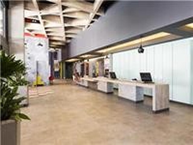 ایبیز ترئون