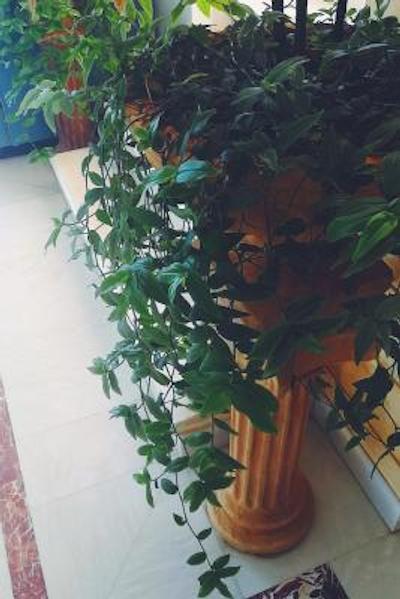 هتل پرتو پلاکیاز