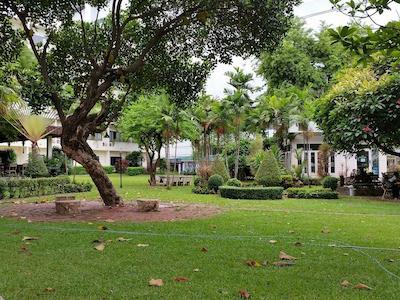 نوتیکال این