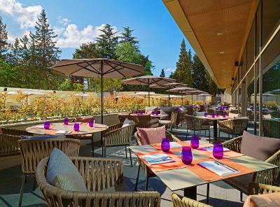 شرایتون متچی پالاس