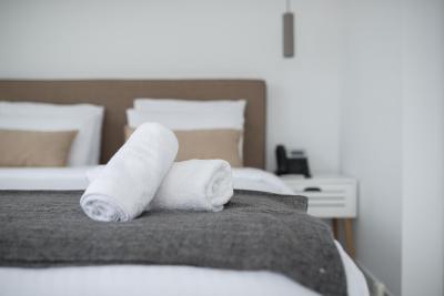 ویتروویوس اسمارت هتل اند اسپا