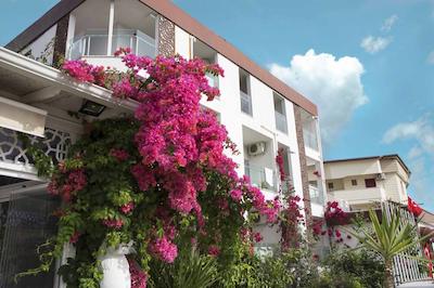 سید نسا هتل