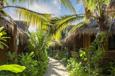 فی فی ککو بیچ ریزرت