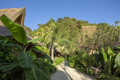 فی فی ککو بیچ ریزرت