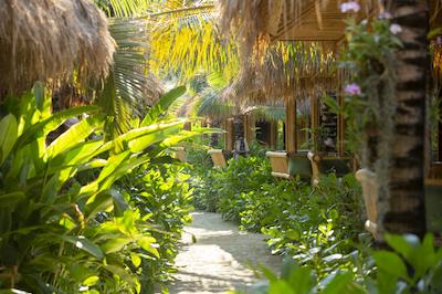 فی فی ککو بیچ ریزرت