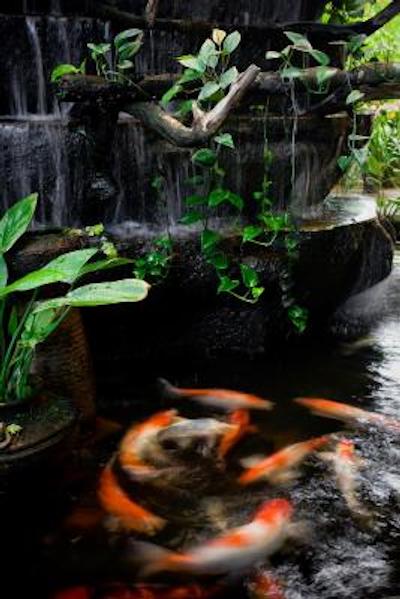 اورانا بوتیک