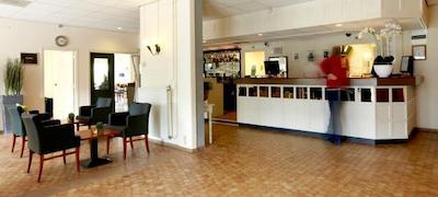 کمپانیل گودا