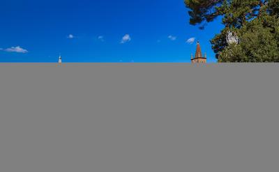 سلوا کاندیدا