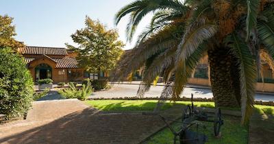 سلوا کاندیدا