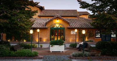 سلوا کاندیدا