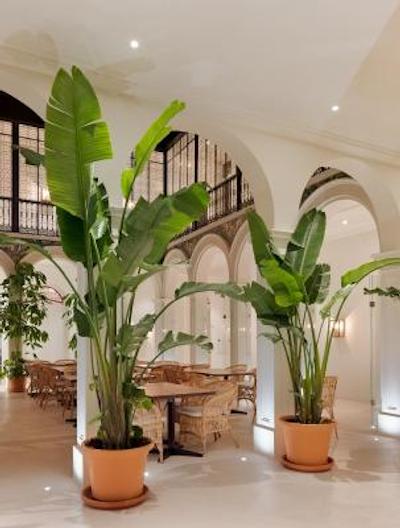 ه10 پالاشن کلمرا