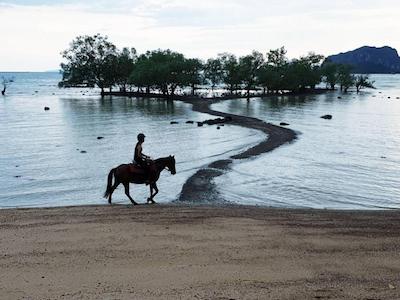 ویلا چا-چا کرابی بیچفرنت ریزرت
