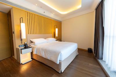 دوبلتری بای هیلتون اهمداباد