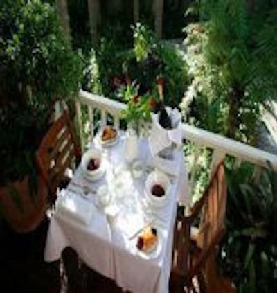 د پیس اند پلنتی این