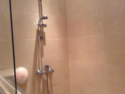 اادام ویلهلمینا