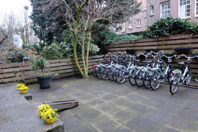 اادام ویلهلمینا