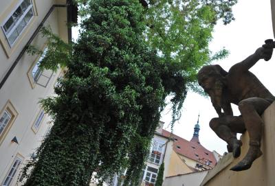 هتل کاسا مارسلو