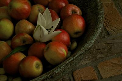 هتل کاسا مارسلو