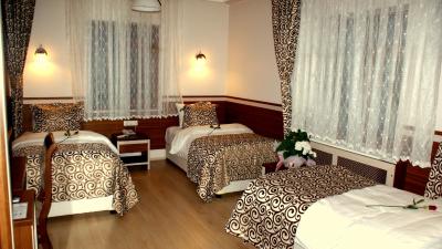 ماوی توانا هتل