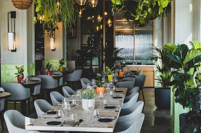 ویدا کریک هاربور