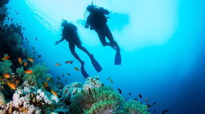 هتل مدرسه غواصی قشم