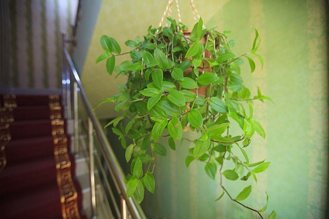 حیات اردبیل