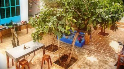 سنتی طاها اصفهان