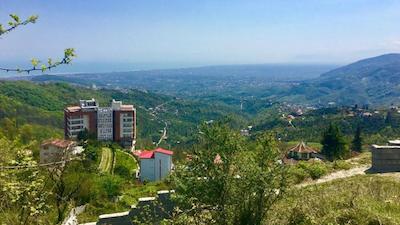 هالیدی رامسر