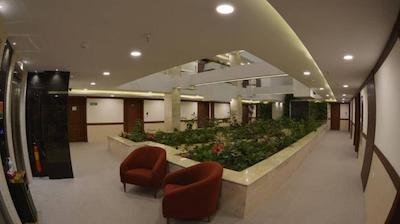 شیرازیس شیراز