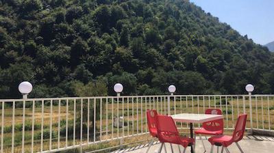 آریانا ماسال