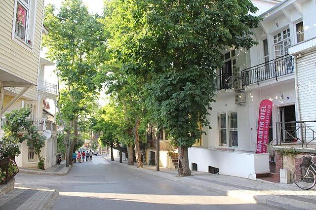 آدا آنتیک اتل