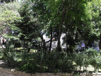 عمر سلطان سویتز