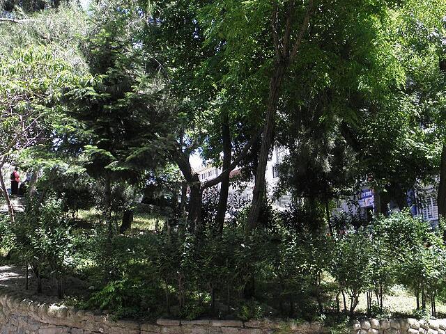 عمر سلطان سویتز