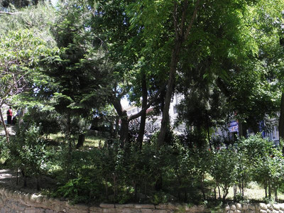 عمر سلطان سویتز