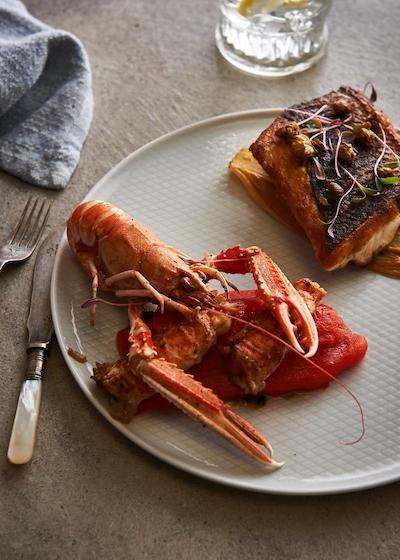 می دبی بای ملیا