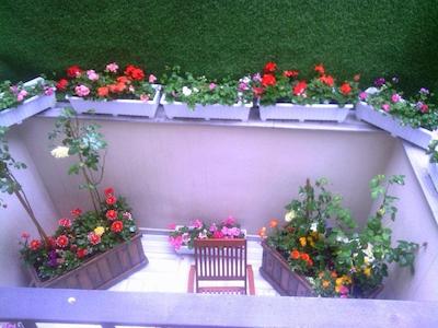 کالانت رزیدنس