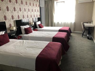 ارا پالاس هتل