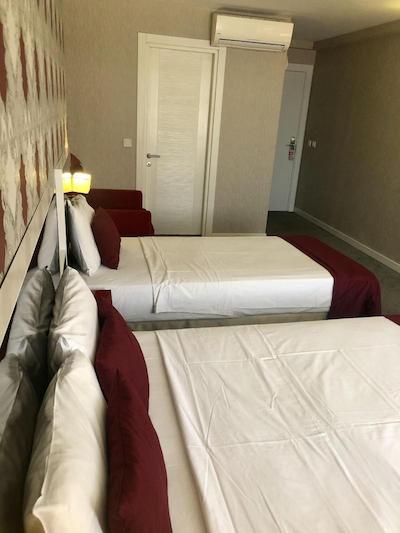 ارا پالاس هتل