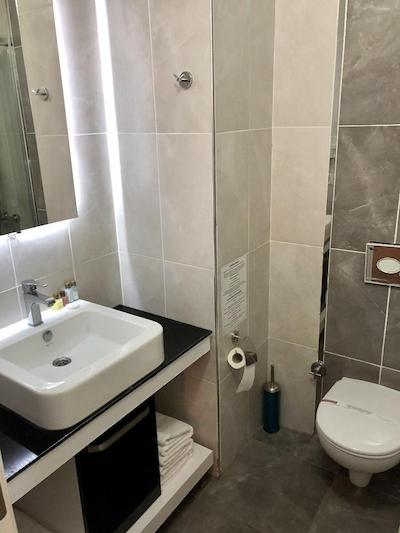 ارا پالاس هتل