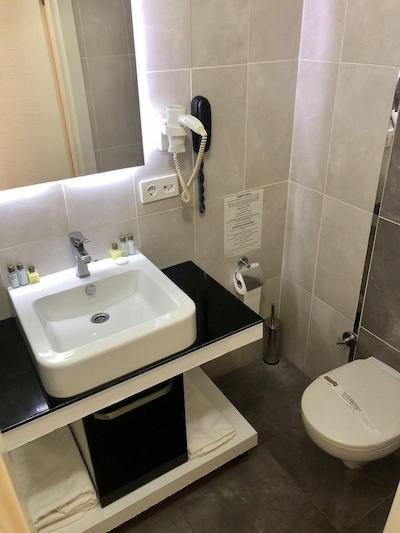 ارا پالاس هتل