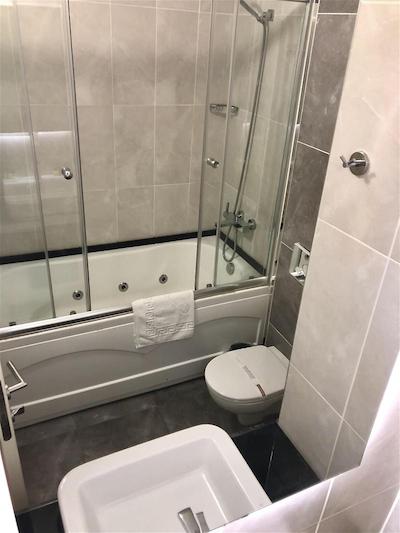 ارا پالاس هتل