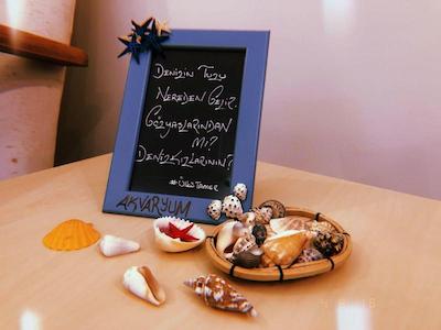 بوتیک آکواریوم