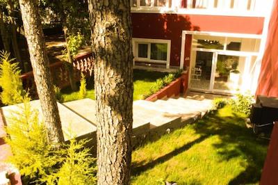 بیاز کوناکلاما