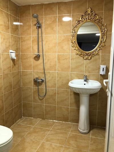 هتل متروپول