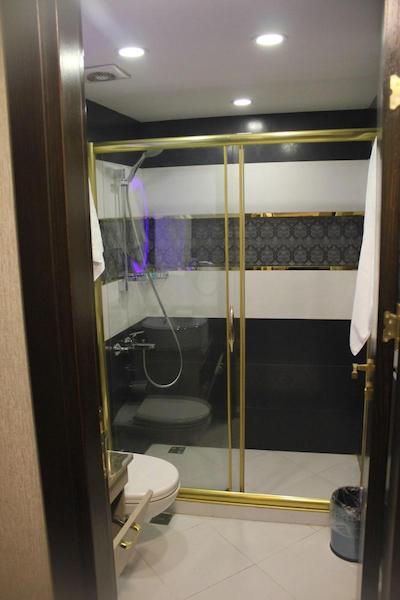 پالمیه هتل تکسیم