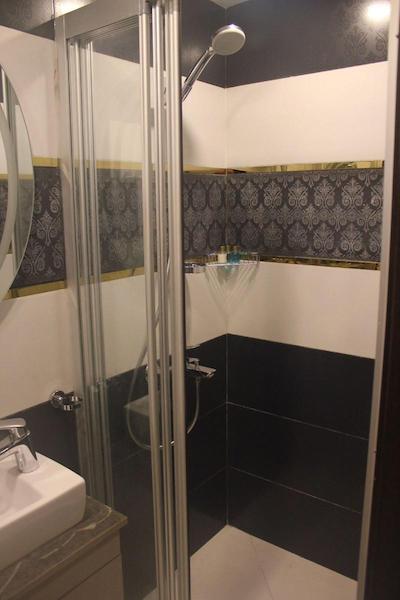 پالمیه هتل تکسیم