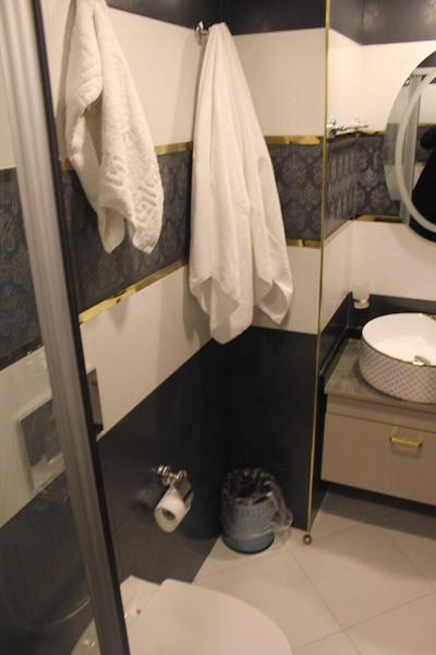 پالمیه هتل تکسیم