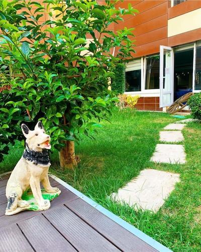 گرند گلد هتل